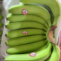 老挝红牙香蕉