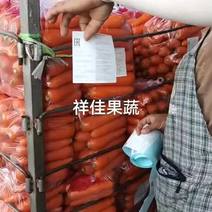 国内产地认证出口专用精品胡萝卜多种规则欢迎采购