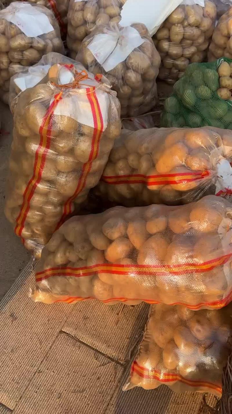 黄心土豆湖北精品土豆货源充足稳定量大从优欢迎咨询