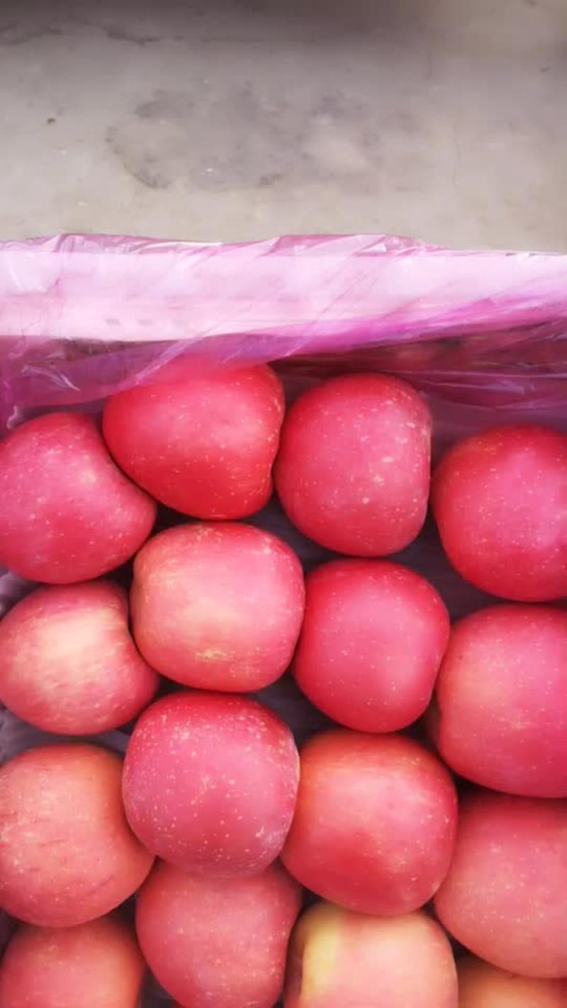 烟台苹果85起步批发4.5冰糖橙一袋6斤。10元。