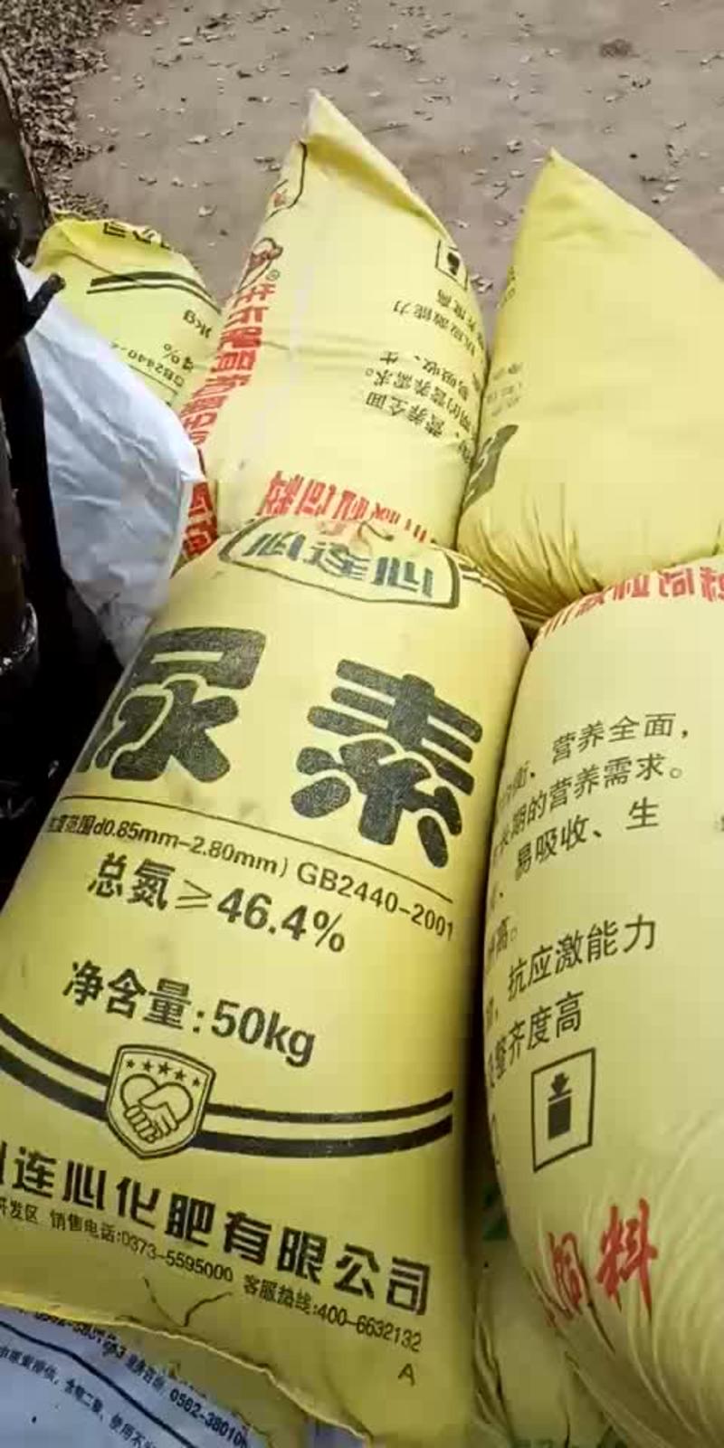 中国原阳大米