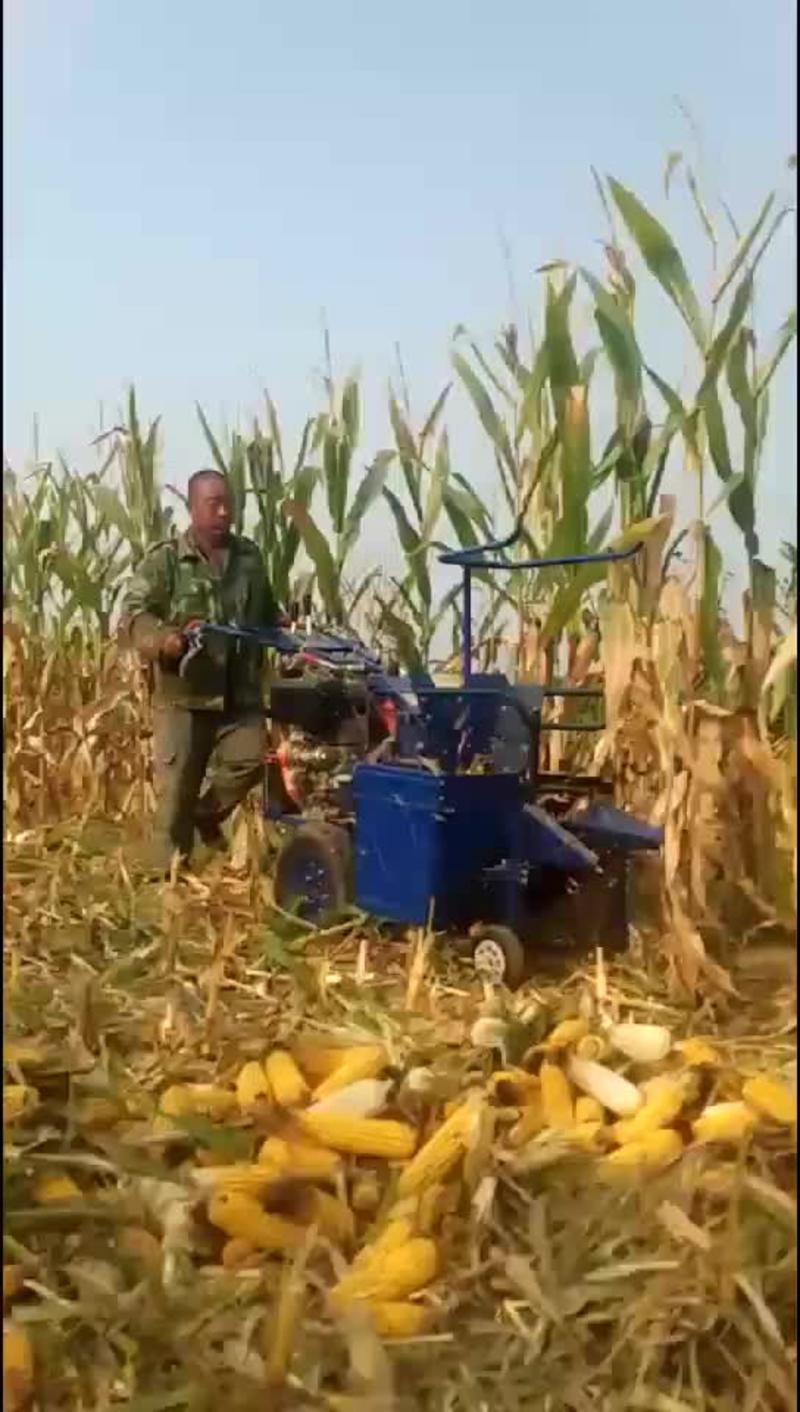 小型玉米收获机单行玉米收获机手扶拖前置玉米收获加