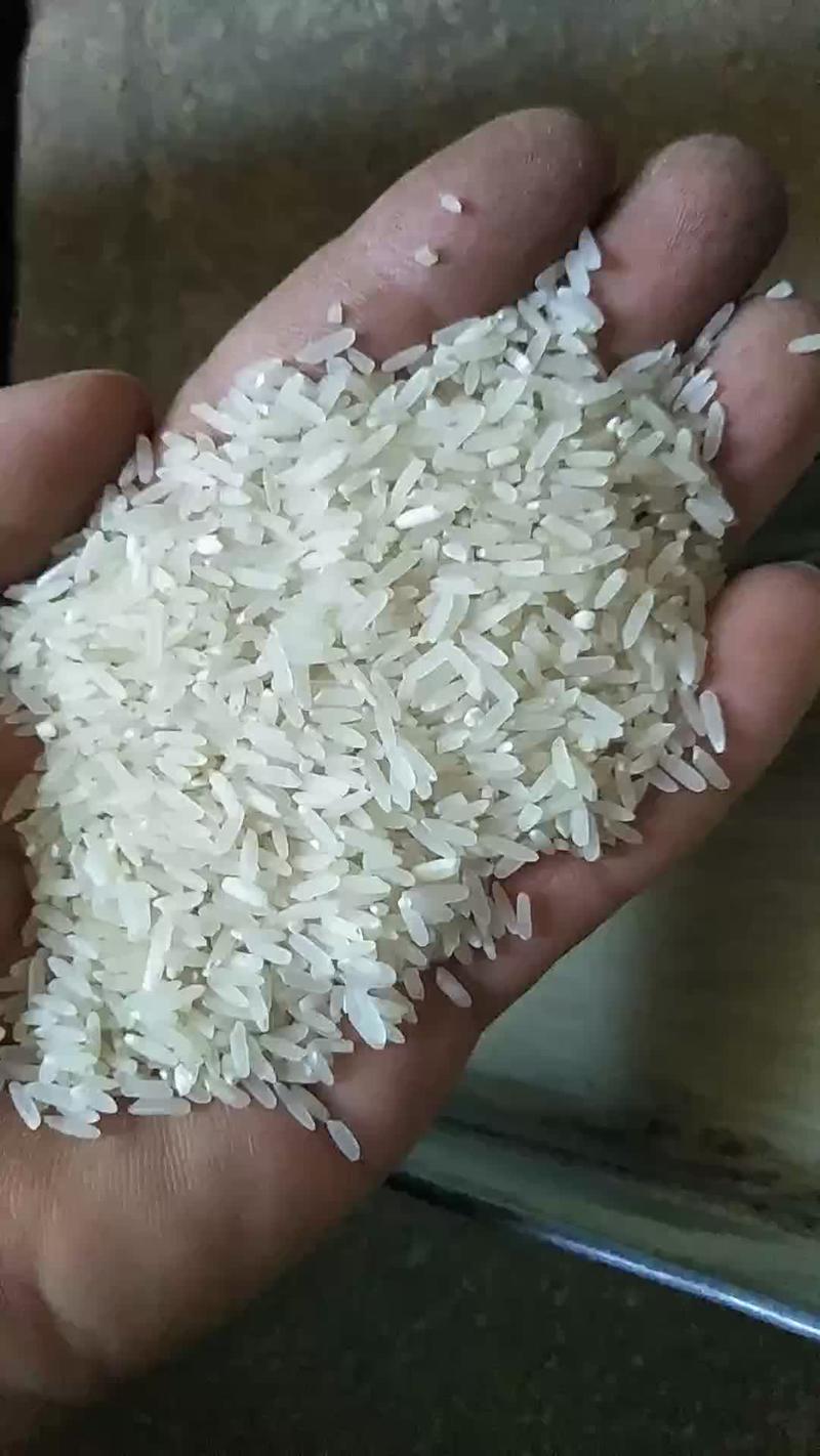 2019年优质米.本地香米