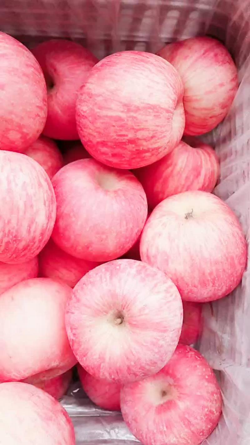 水晶苹果红富士，精品果，商品对接电商，商超批发商保质保量