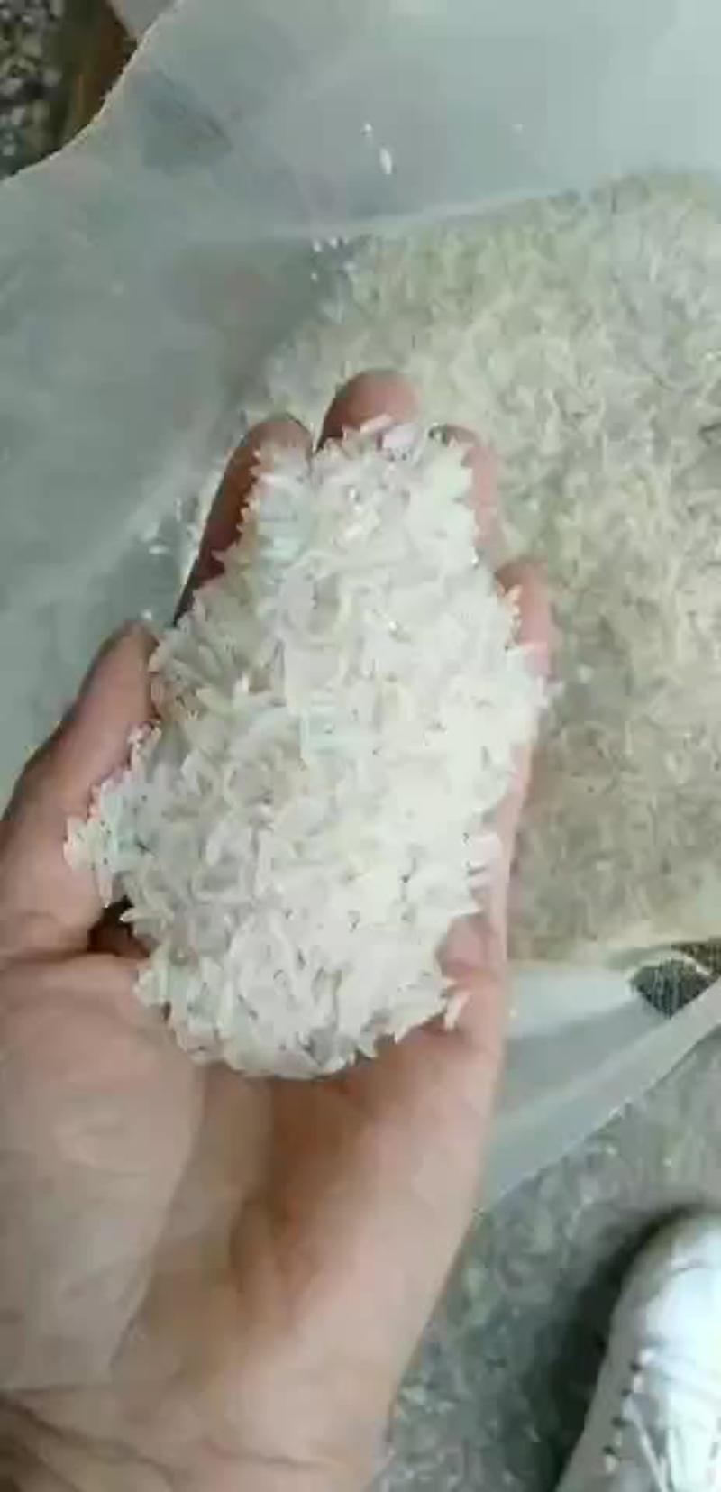 罗定乡下湶心米晚稻米即买即碾不抛光不打蜡放心米包邮到家！