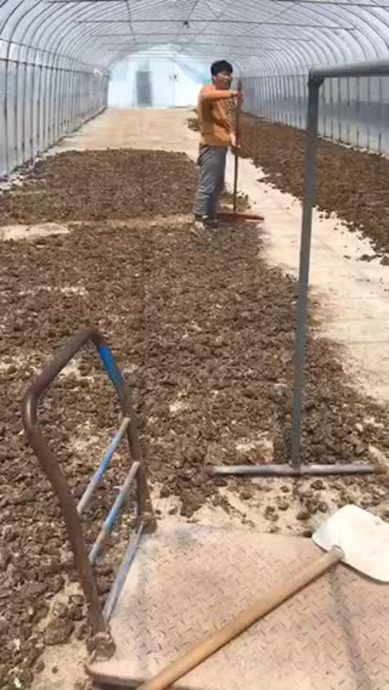 纯干鸡粪，水泥地晾晒，无杂质！改良土壤板结肥效持久