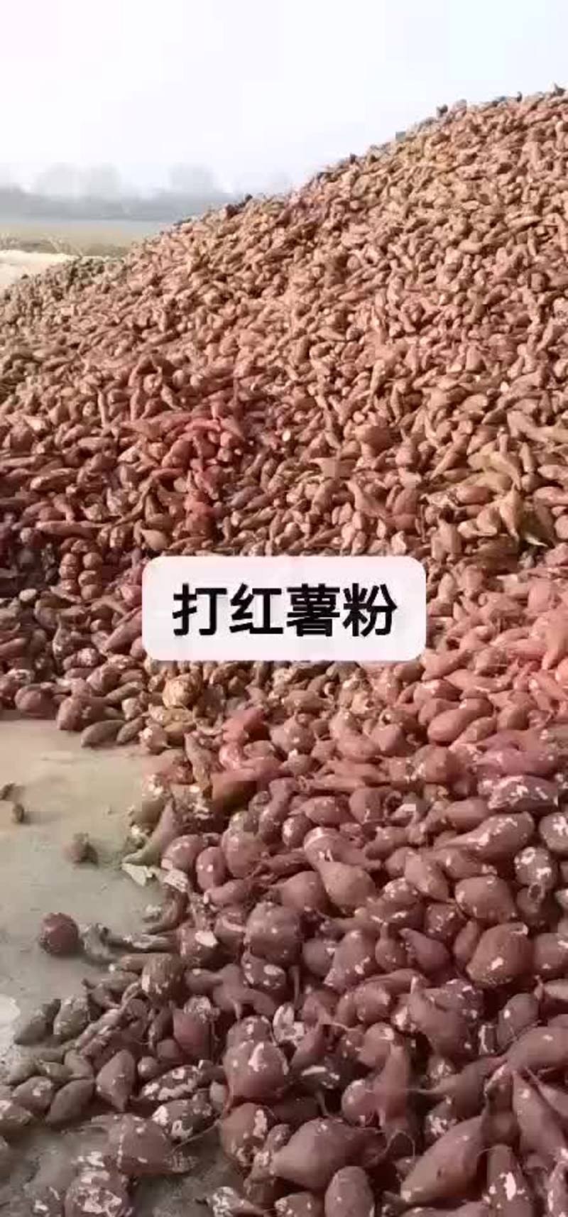 红薯粉面，纯红薯粉面，农户自产自销，常年供应，全国发货