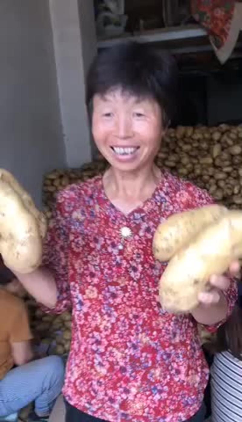 山东土豆精品新高原土豆，价格便宜，全国发货，欢迎来电