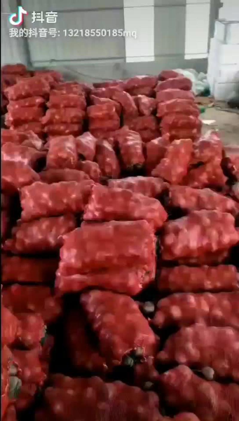 徐州千亩红甜菜基地，自产直销
