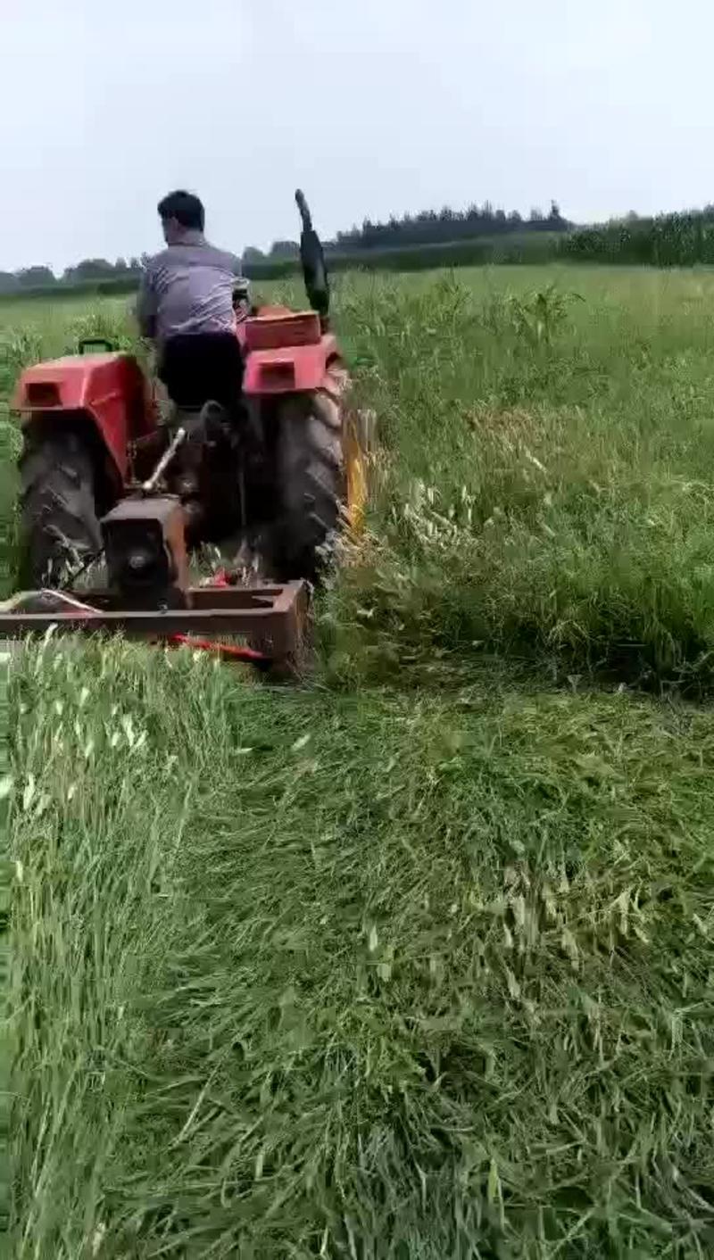 四轮拖拉机后置割草机甩刀式割草机果园用杂草粉碎机农用