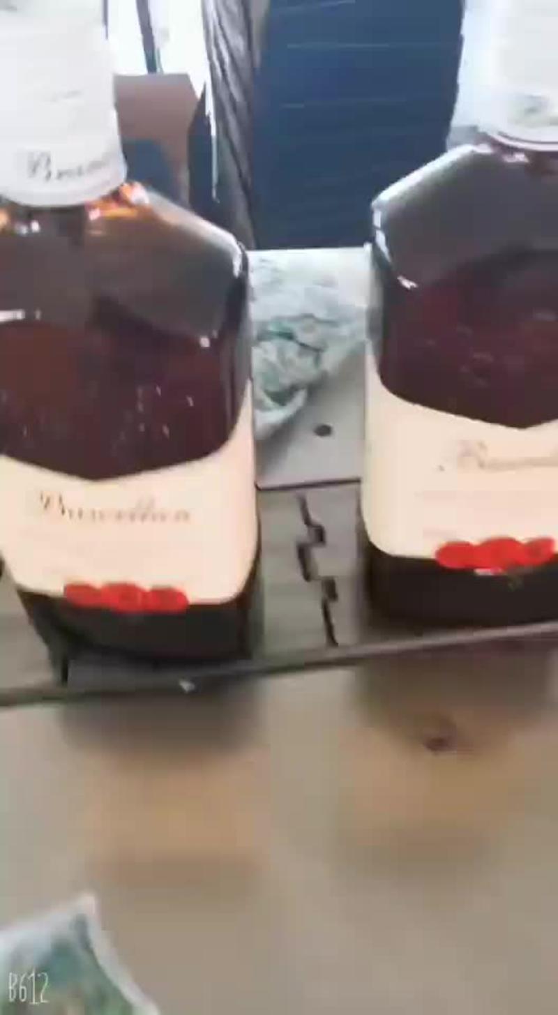 澳大利亚原瓶原装进口奔富红酒厂家批发一件代发