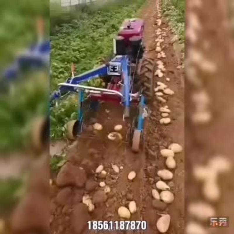 四轮拖拉机带多功能收获机收带秧花生土豆收获机红薯收获