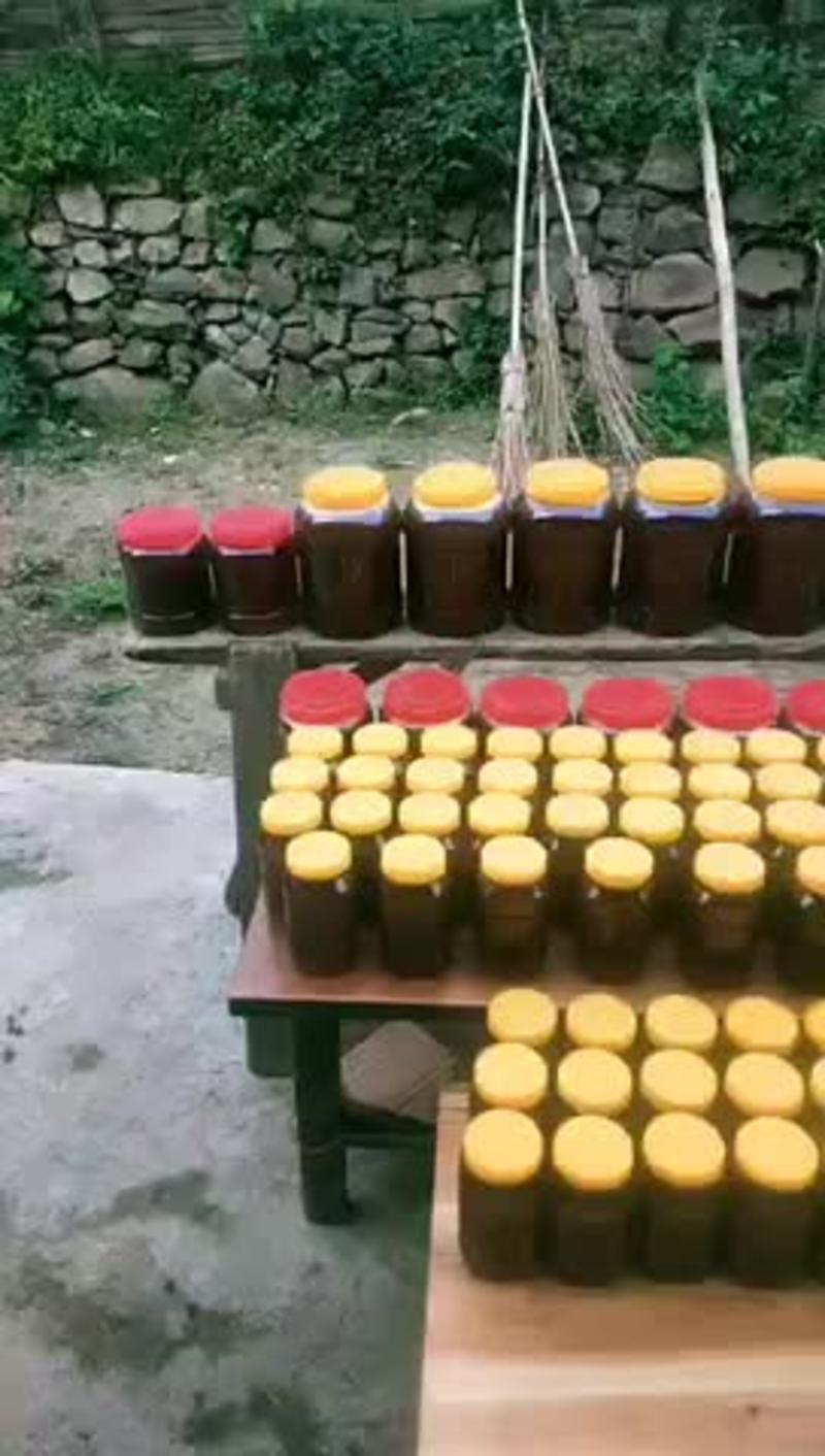 土蜂蜜自家养的需要的联系。