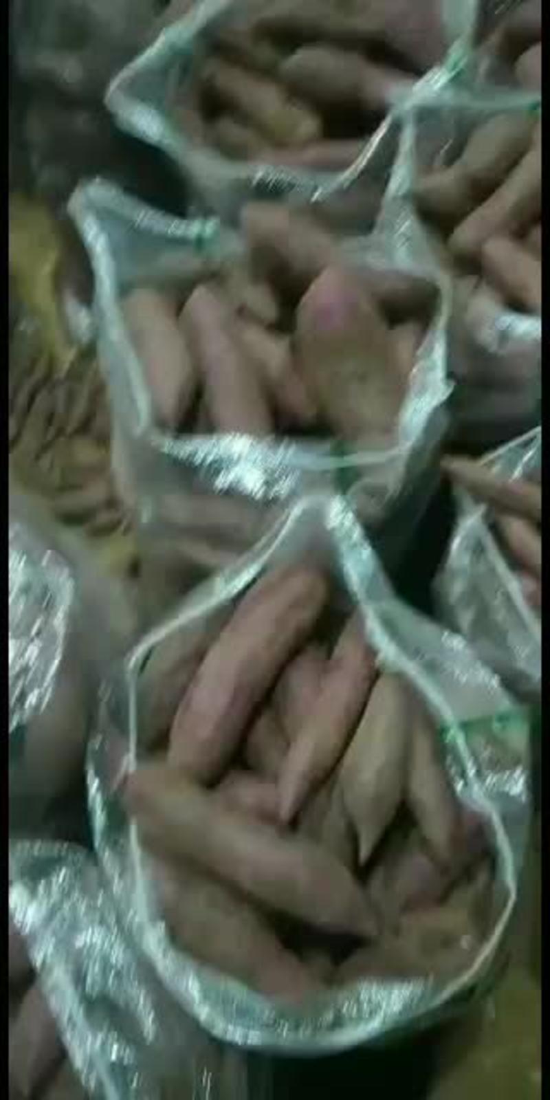 紫薯，质量保障。欢迎定货。500亩加工厂货刚上市。