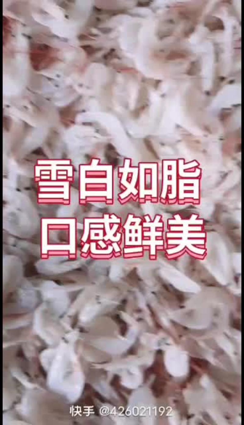 拼单电商跑江湖渤海特产优质虾皮海米虾干虾海鲜干货