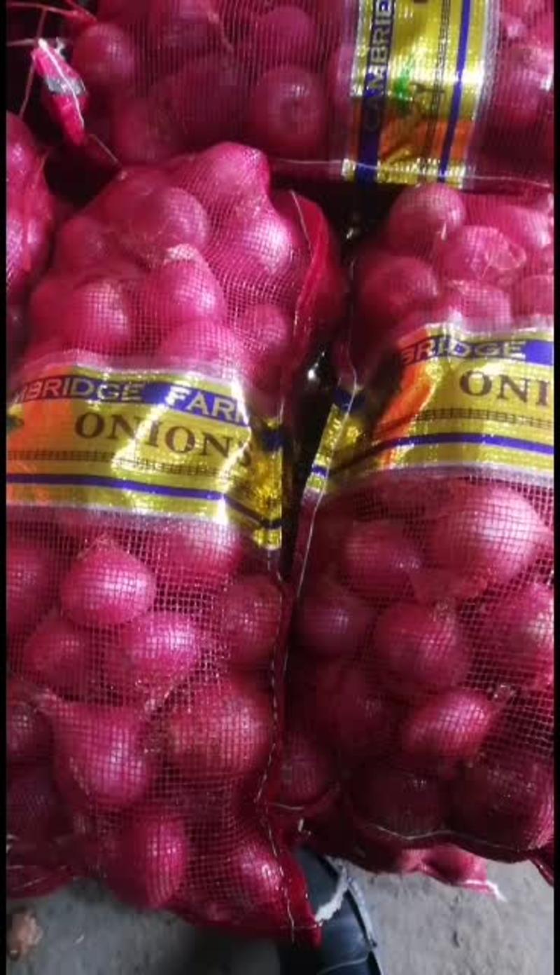 【洋葱】精品红黄紫皮洋葱长年供应支持各种规格包装