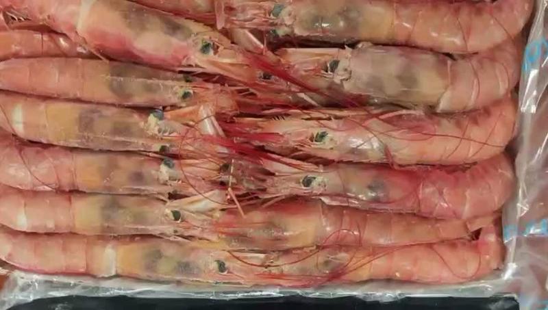 【优质好货】自捕阿根廷红虾，自助餐虾专用海鲜虾，证件齐全