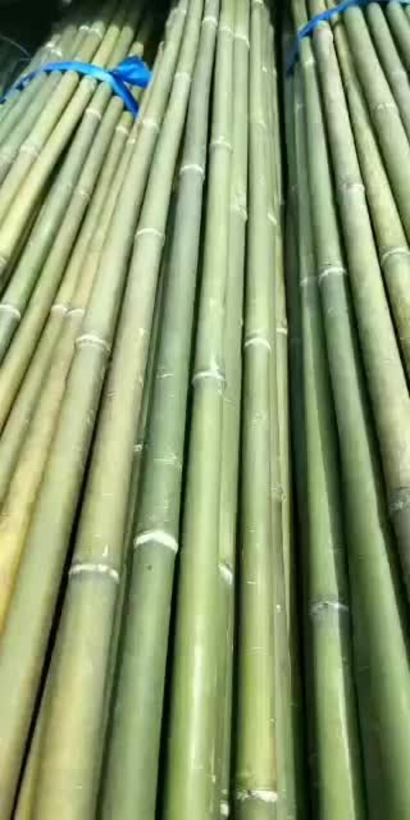 湖南优质菜架竹，各种规格大棚竹杆，精选竹竿，西红柿插杆，