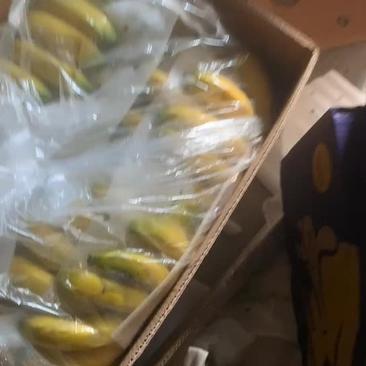 进口菲律宾特价香蕉，27斤25元