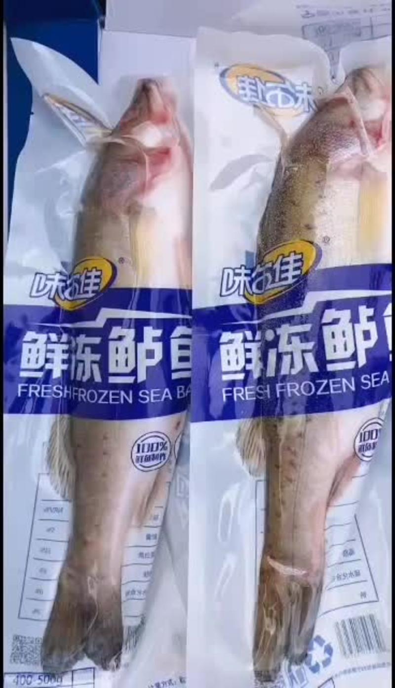鲜冻鲈鱼，海鲈，冻货，独立包装四条，礼盒装