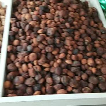 新疆和田特产沙阗红枣。和田玉枣