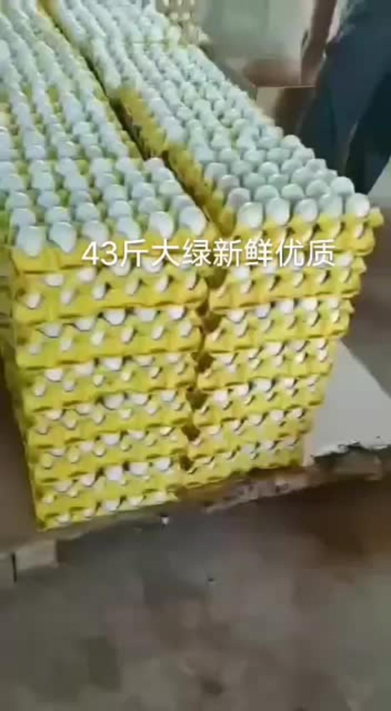 贵州省长顺精品绿壳鸡蛋