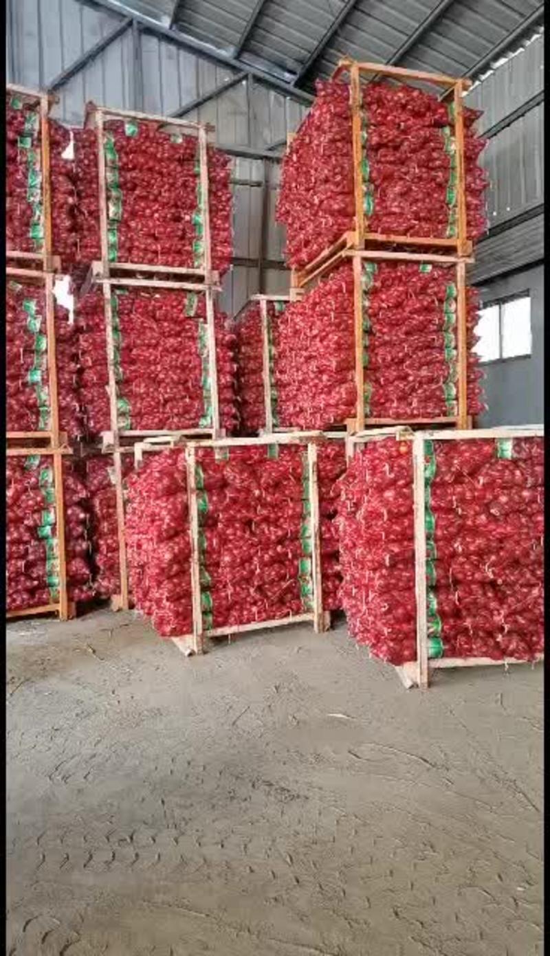 【洋葱】精品红黄紫皮洋葱长年供应支持各种规格包装