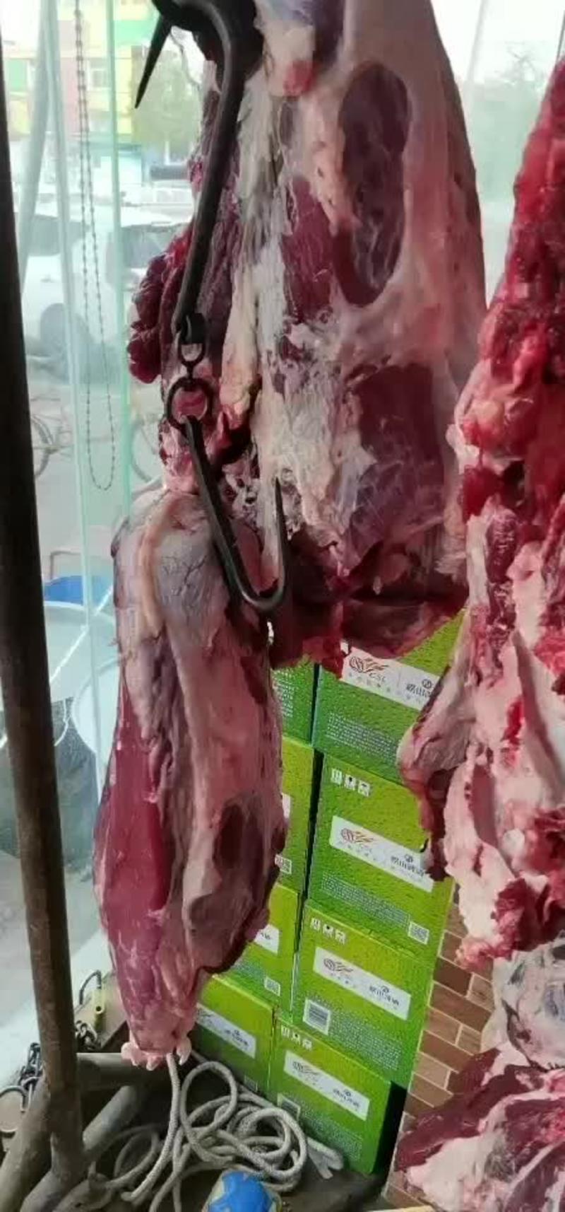 南阳本地黄牛肉保证品质不注水