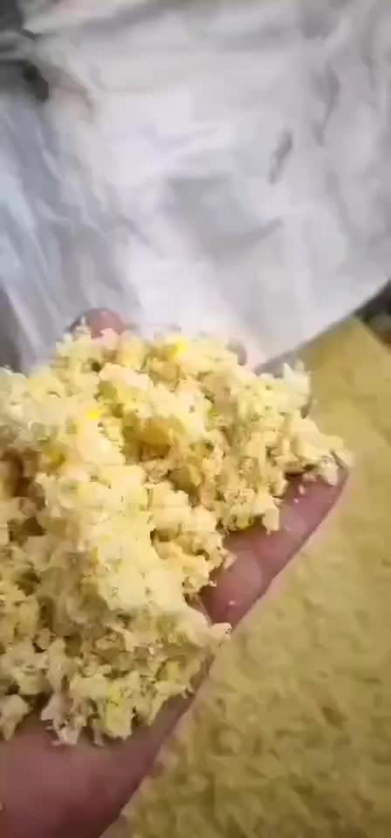 新鲜玉米粹，发酵玉米粹。