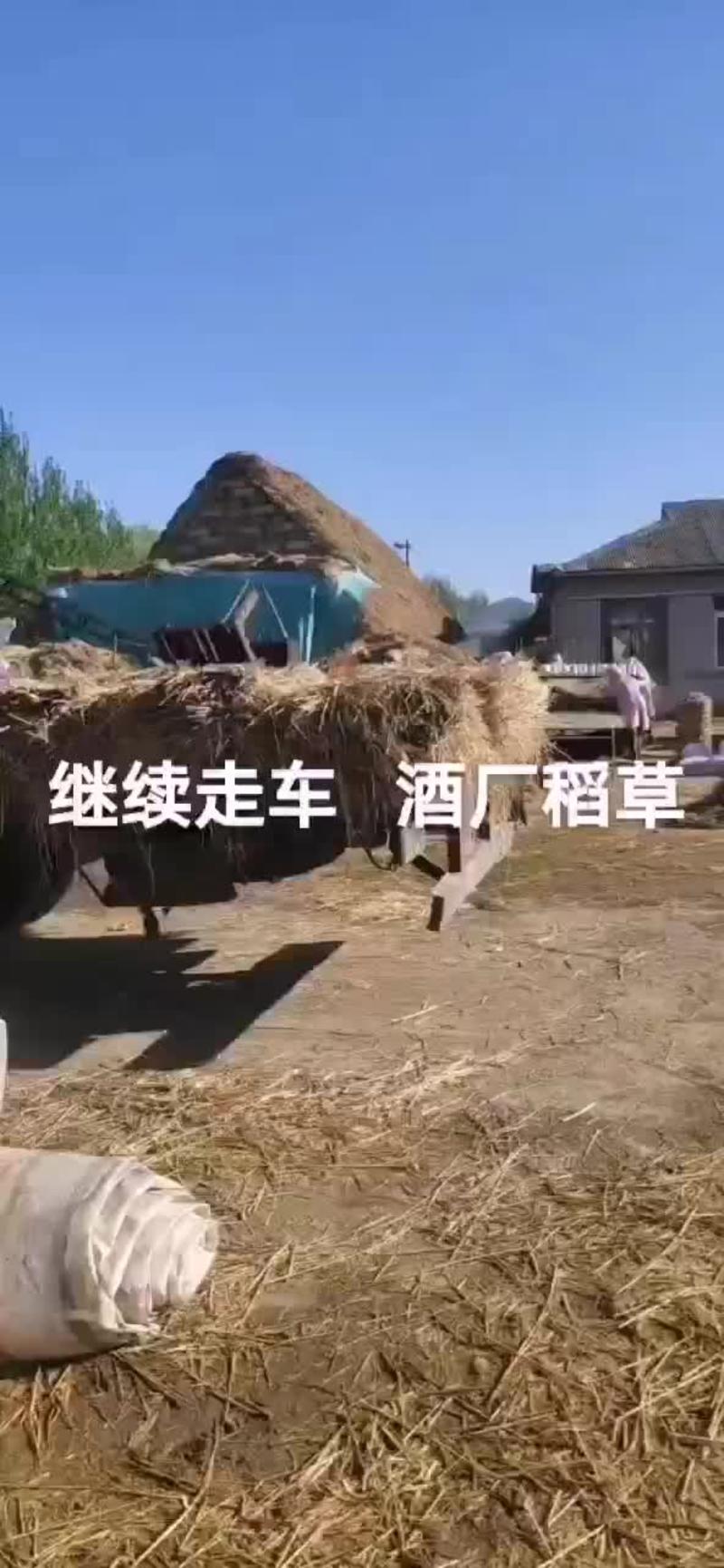 山东稻草天然新鲜干净干燥厂家直发量大优惠品质保证