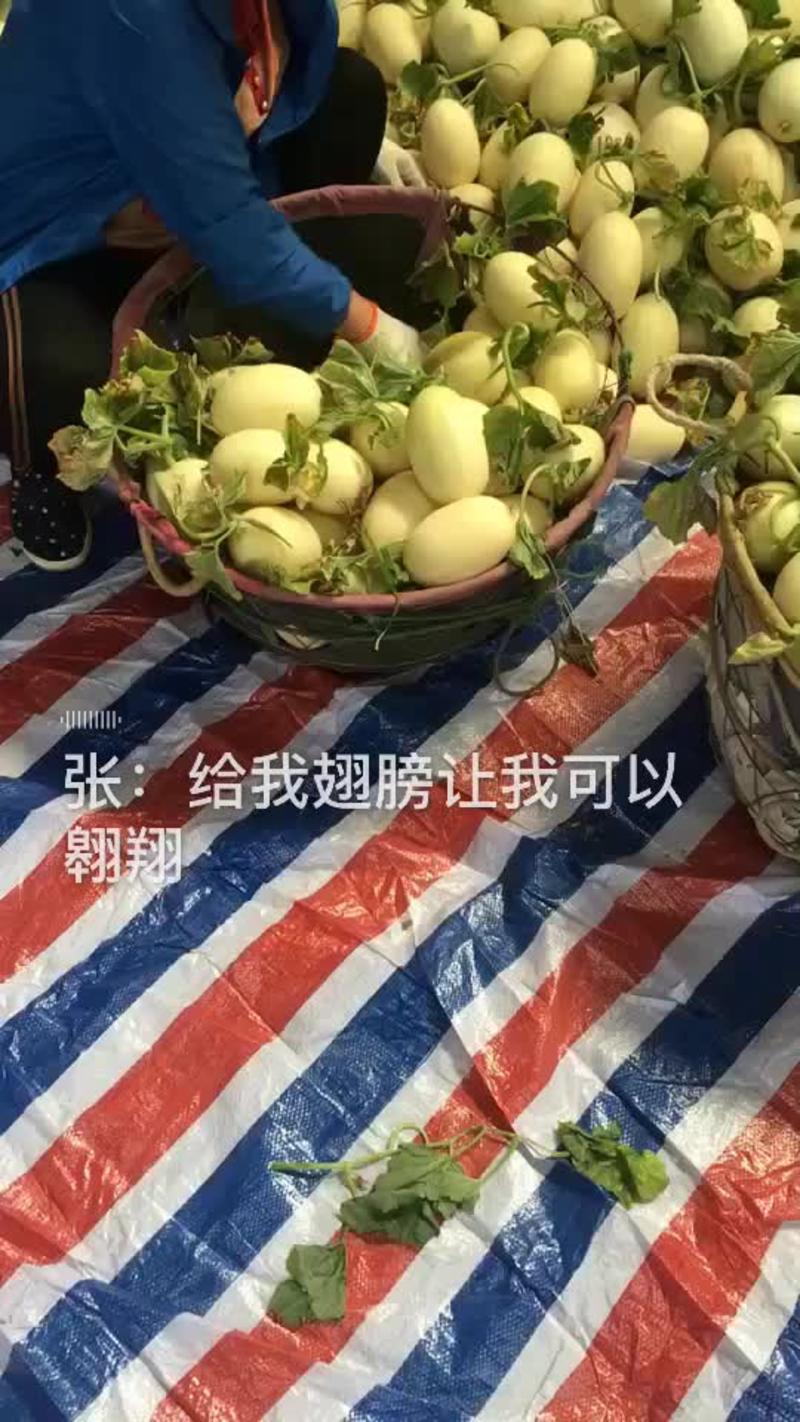 台州椒江，温岭三门东方蜜，颐品家庭农场代办机构
