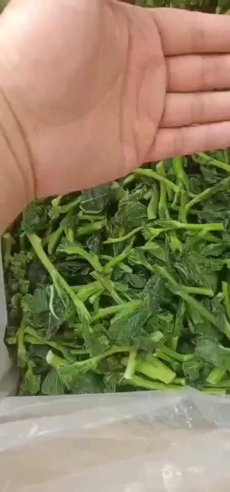 速冻菜苔精选优质新鲜菜苔原料，精细加工视频看货
