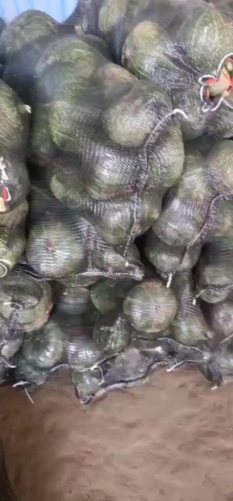 江苏省盐城精品板栗南瓜一手货源，产地直供，可视频看货