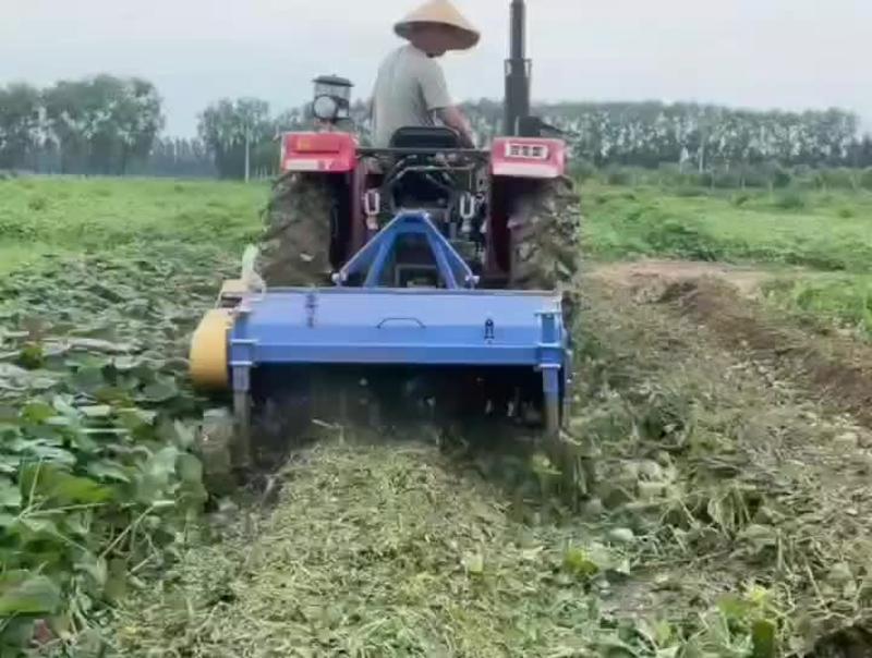 薯类杀秧机收割机四轮拖拉机带土豆地瓜打秧机