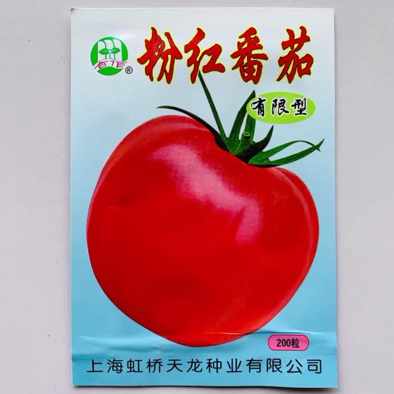 鑫特正宗黑珍珠番茄种子无限生长黑色小番茄种子紫黑色番茄