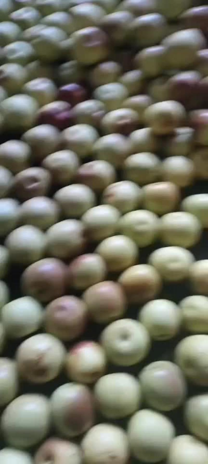 沾化冬枣原产地，香脆可口
