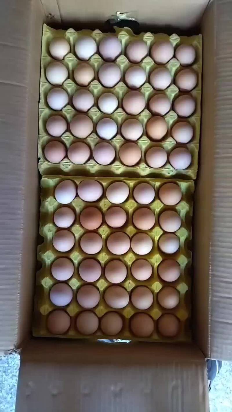 小码土鸡蛋