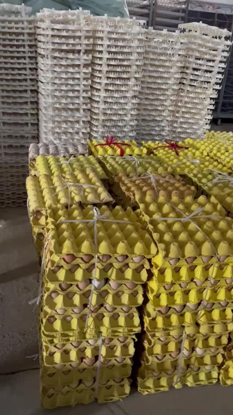 出售种蛋，13天活珠子味道鲜美，农家土鸡蛋，自产自销
