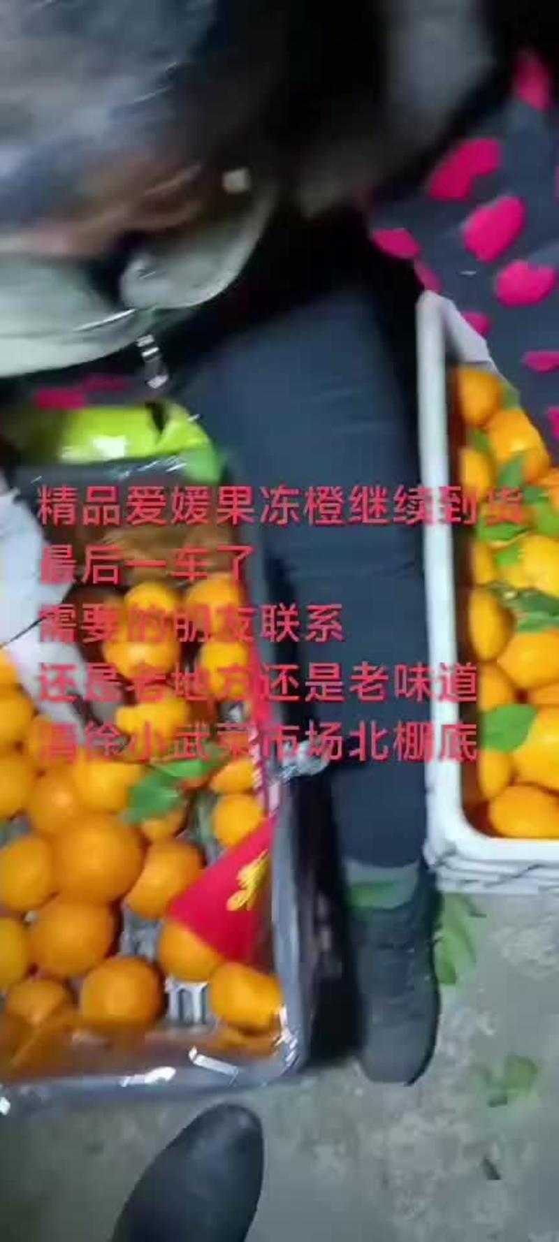 精品爱媛果冻橙，正宗四川眉山货，产地直发，质量保证