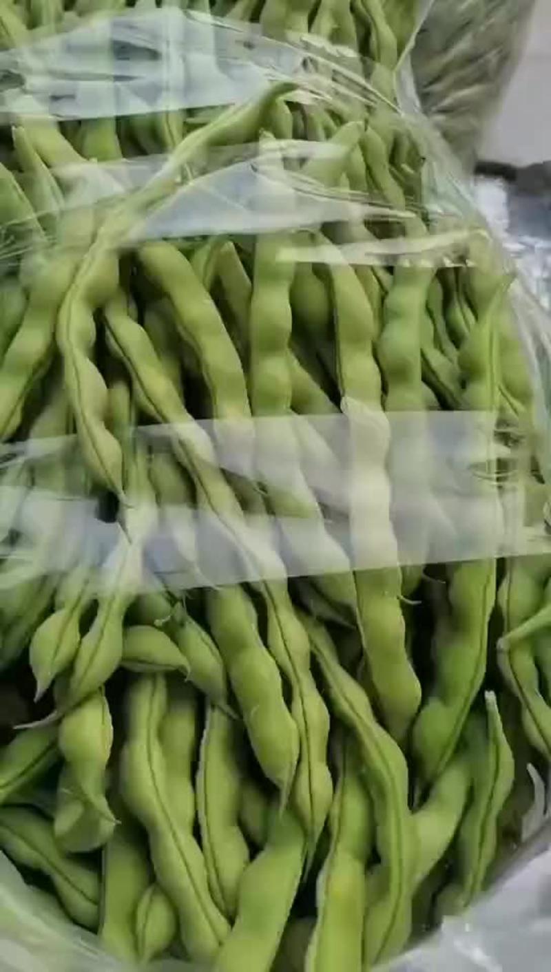 攀枝花优质蔬菜大青豆