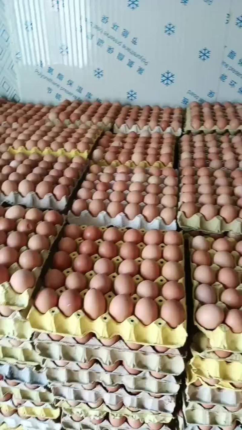 照蛋，毛蛋，活珠子，十八天的毛蛋，二十一天的毛蛋，