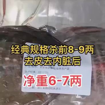 网红麻辣甲鱼批发卤甲鱼0.6到1斤规格，量大从优