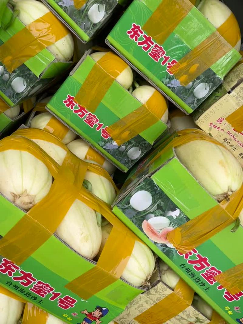 台州东方蜜头茬瓜大量上市