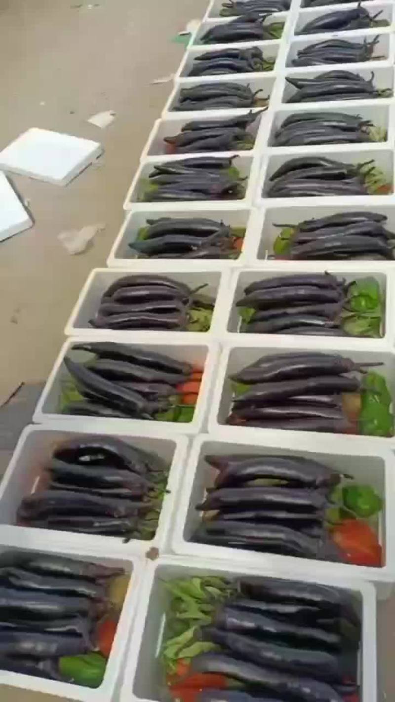 蔬菜礼盒，蔬菜盲盒