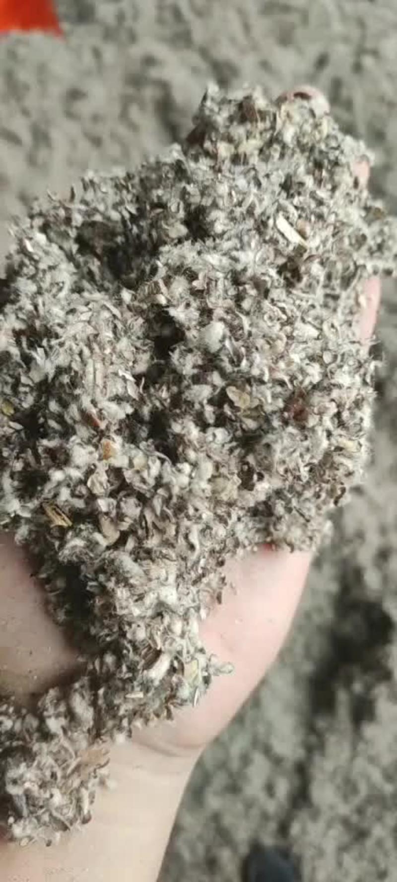 棉籽壳新疆直销一手货源保质保量货干无杂质