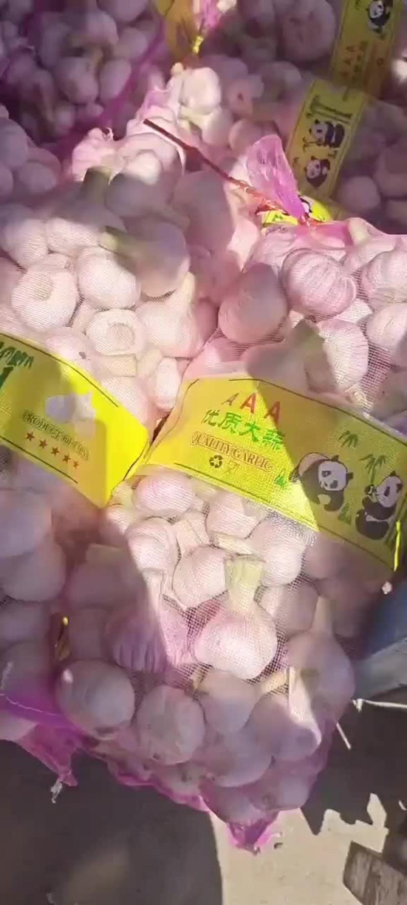 邳州市蒜米