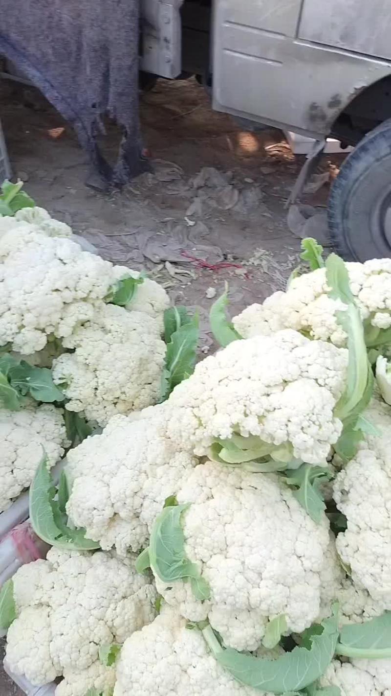 山东省沂水产地有机花菜，白面青根，有机散花，供市场超市。