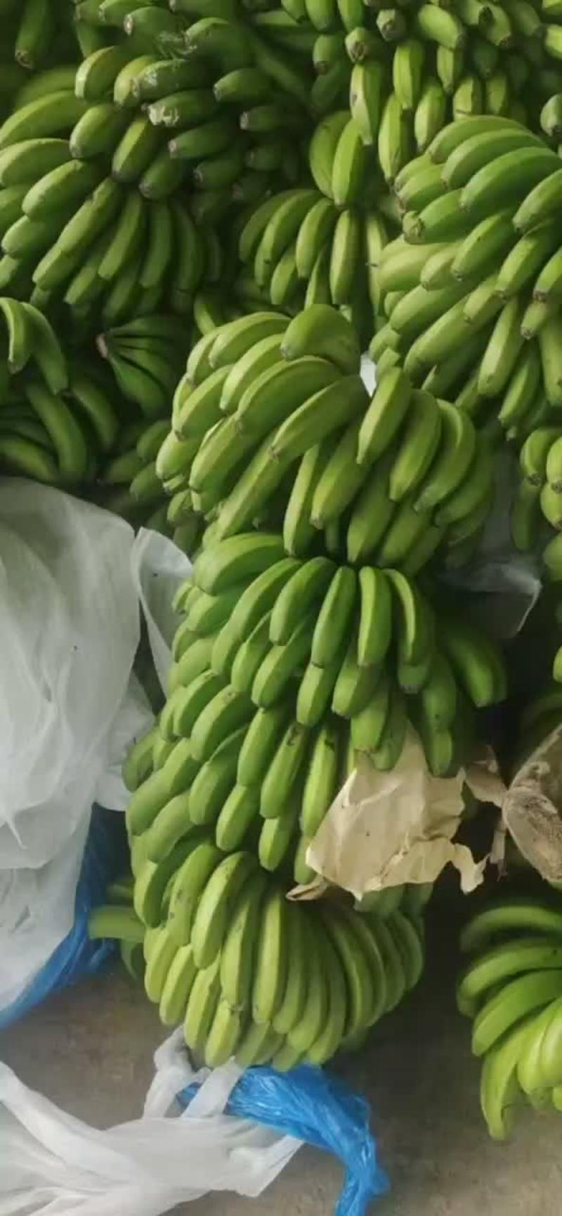 电商香蕉现货5斤9斤