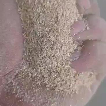 精品玉米芯粉三十目六十目大量现货