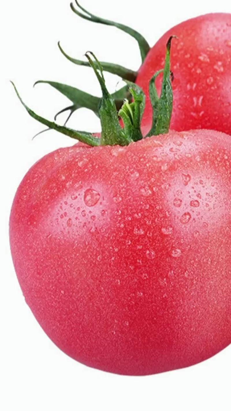 [优]西红柿大红西红柿产地直供看货论价欢迎订购